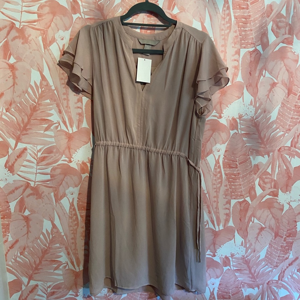 Blush Cinched Waist Work Dress